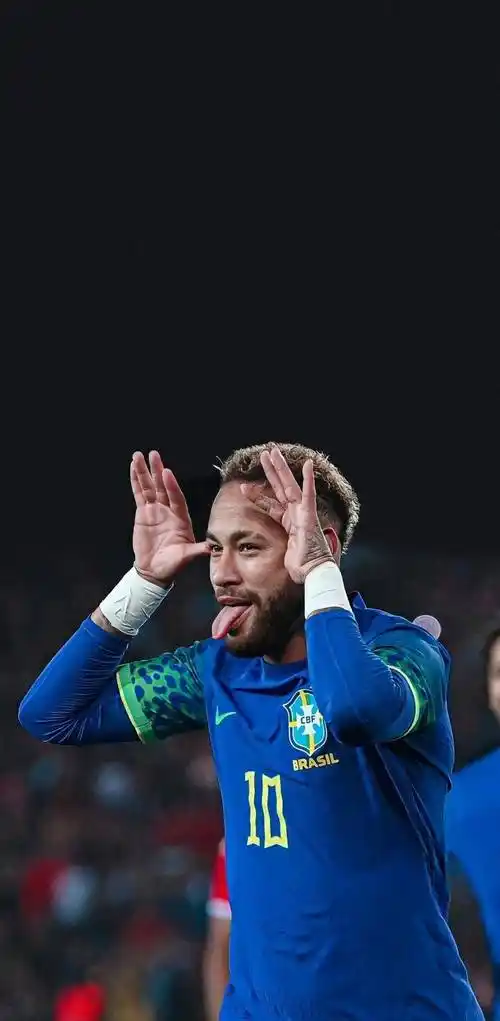 带来了新希 带来了新希