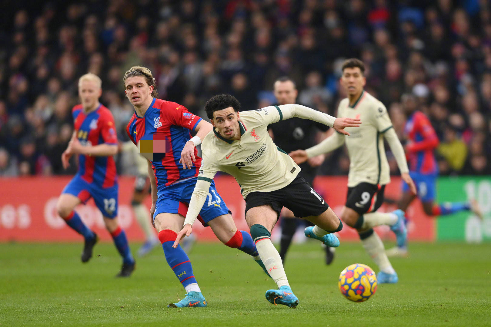 未来的一个 未来的一个