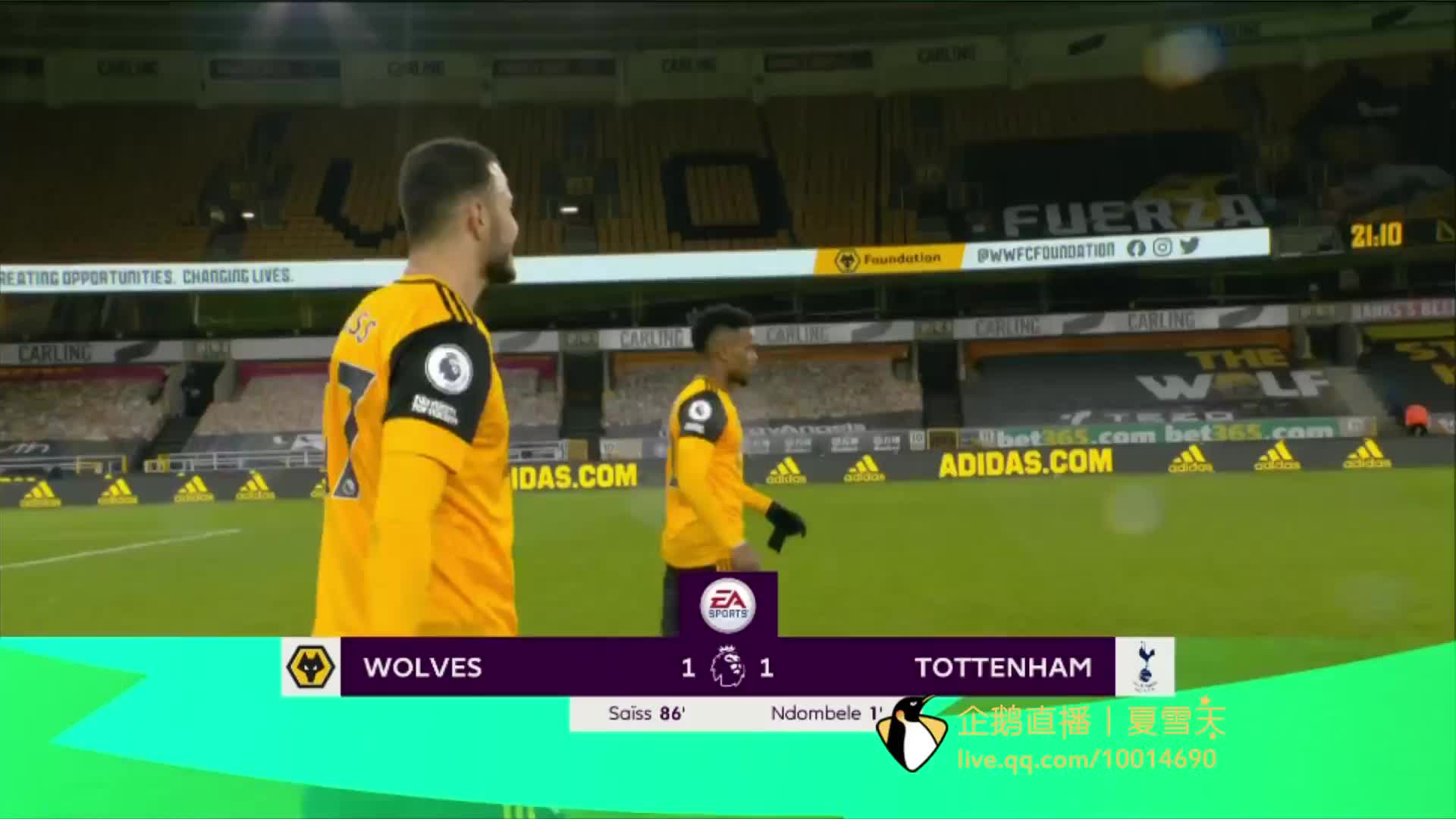 宜宾的竹海 宜宾的竹海